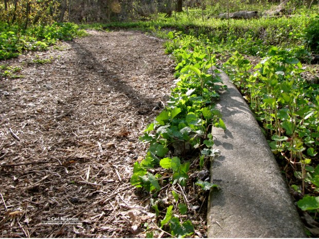 milwaukee_abandoned_beer_garden