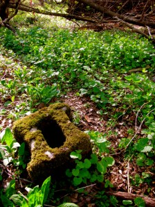 Few traces remain of the famous early beer garden.