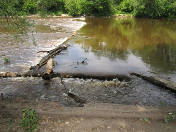 This decrepit timber structure on the Milwaukee River north of Pumping Station Park is all that remains of a dam built a century ago to ensure a good ice harvest for the Schlitz ice houses located on the west bank. Photo by Carl Swanson