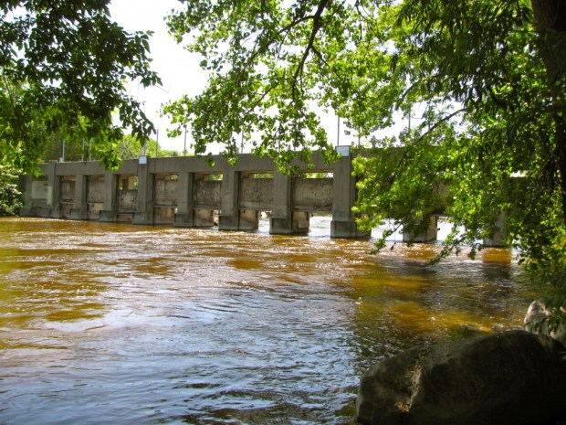 Photo by Rachel Swanson