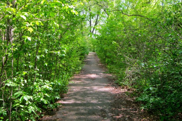 Eighty years ago, this riverside pathway in Milwaukee's Kern Park had a naughty reputation. Carl Swanson photo